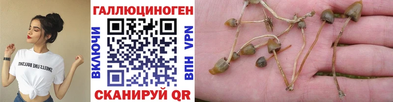 Псилоцибиновые грибы прущие грибы  Барыш 